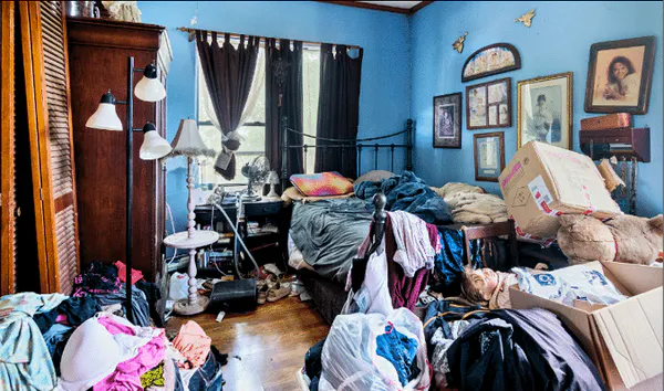 Messy House